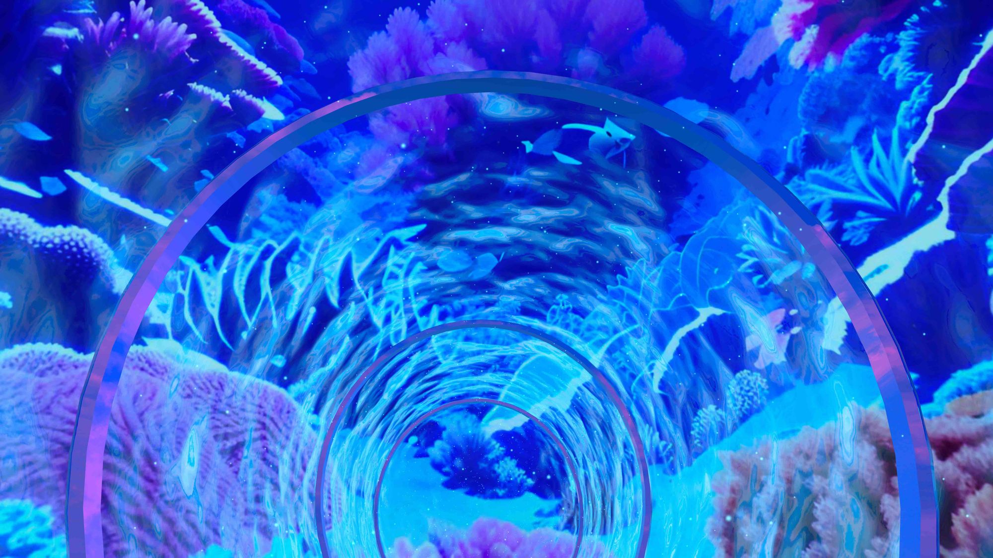 Aquatic Kaleidoscope