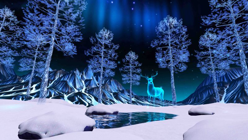 Magical Forest